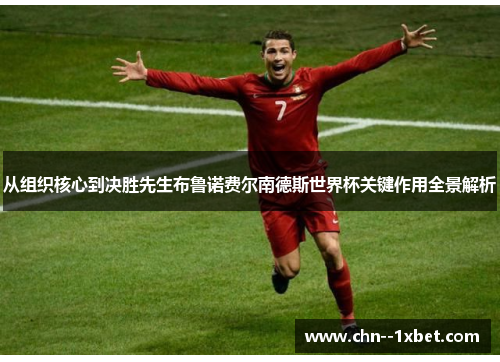 从组织核心到决胜先生布鲁诺费尔南德斯世界杯关键作用全景解析