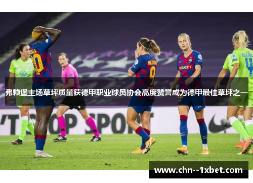 弗赖堡主场草坪质量获德甲职业球员协会高度赞誉成为德甲最佳草坪之一 弗赖堡主场草坪质量获德甲职业球员协会高度赞誉成为德甲最佳草坪之一