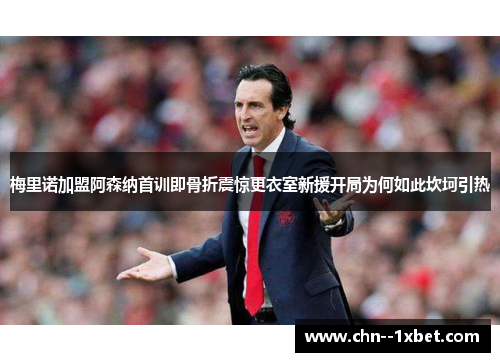 梅里诺加盟阿森纳首训即骨折震惊更衣室新援开局为何如此坎坷引热