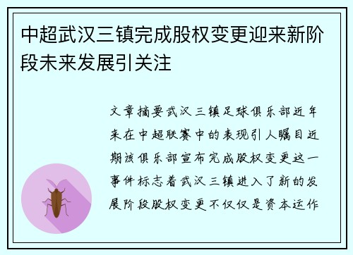 中超武汉三镇完成股权变更迎来新阶段未来发展引关注